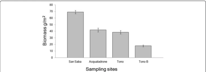 Fig. 4 Biomass (20 × 20 sampling surface) of Caulerpa taxifolia var. distichophylla in the different sampling sites (error bars SE) in October 2013 (Six samples for each site