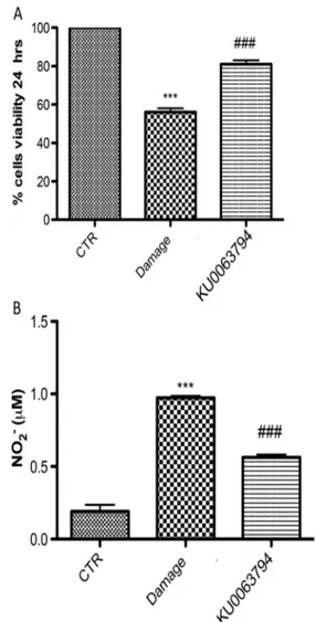 Fig. 5 Effect of KU0063794 on cell viability and nitrite (NO 2 − )