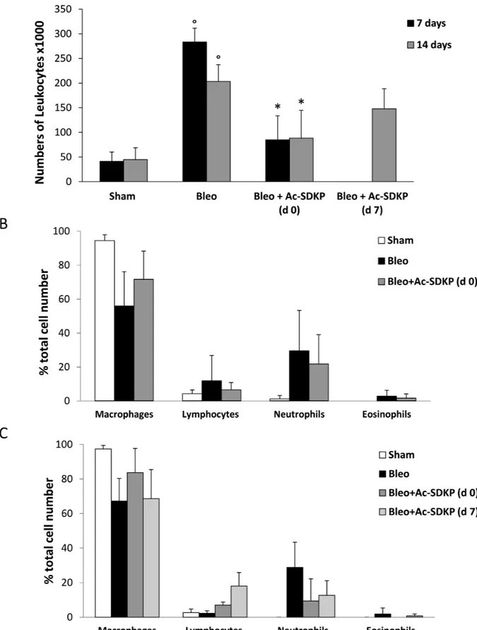 Figure 2: Protective effects of Ac-SDKP treatment on BLEO-induced leukocyte lung infiltration