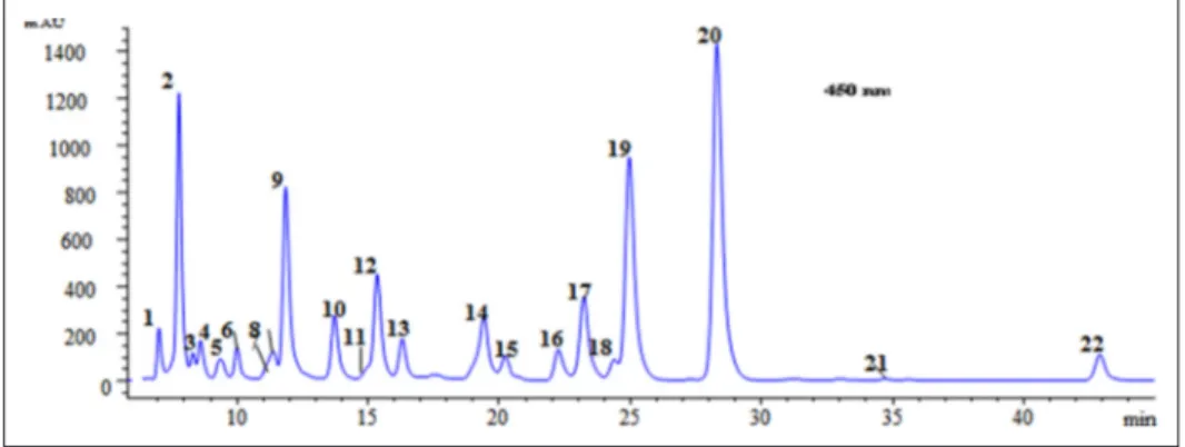 Figure 2.  HPLC/DAD chromatogram of the saponified carotenoid extracted from the aril of  Cionosicyos macranthus recorded at 450 nm.