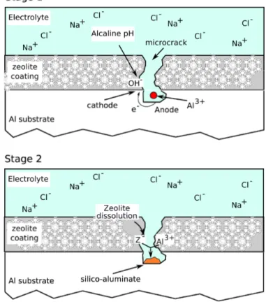Figure 9. Scheme of corrosion protection on defected areas of zeolite based coatings.  Figure 9