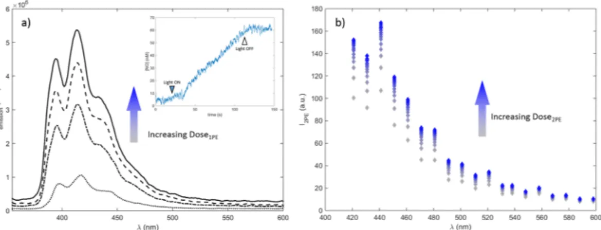 Figure  3  shows the evolution of the fluorescence emission spectra observed at different irradiation times of  CPA under 1PE and 2PE conditions