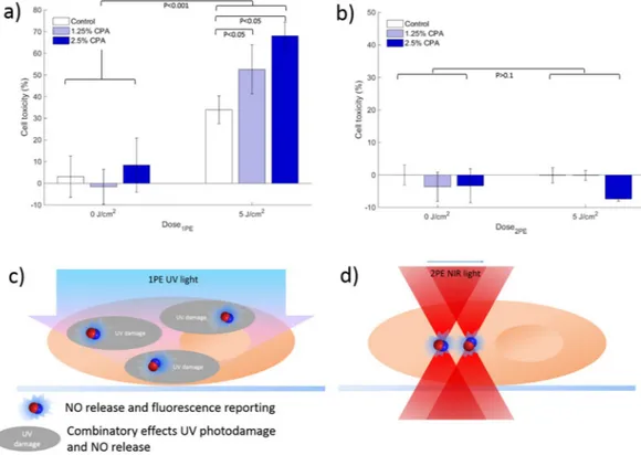 Figure 5.  Cell toxicity experiments after photoactivation of CPA in A431 cells; (a) one-photon (1PE) activation 