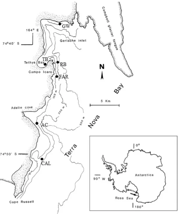 Figure 1.  Sampling sites in the Terra Nova Bay (Ross Sea).