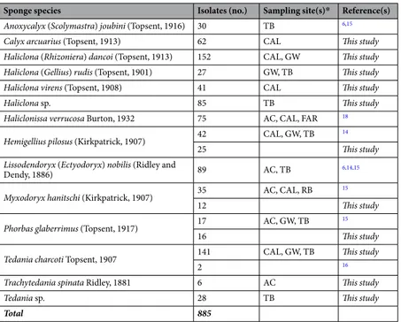 Table 1.  Number of bacterial strains isolated per sponge species.  *AC, Adelie Cove; CAL, Caletta; FAR,  Faraglioni; GW, Gondwana; RB, Road Bay; TB, Thetys Bay.