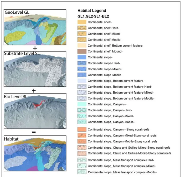 Figure 3. The CoCoNet Habitat Mapping Scheme. The Biological level is organized according to a detailed list of habitat  types (CoCoNet product)