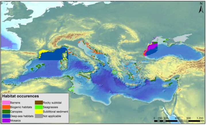 Figure 4. Distribution of biogenic habitats (e.g. coralligenous formations and maërl), seagrasses (e.g