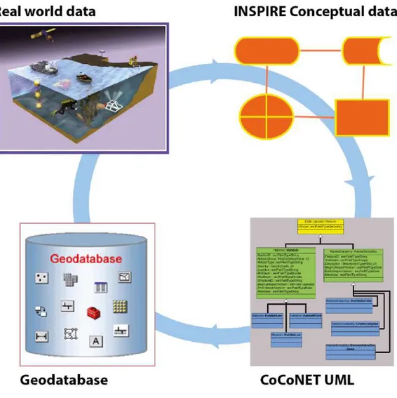 Figure 1. CoCoNet Data flow: from real world data to Geodatabase