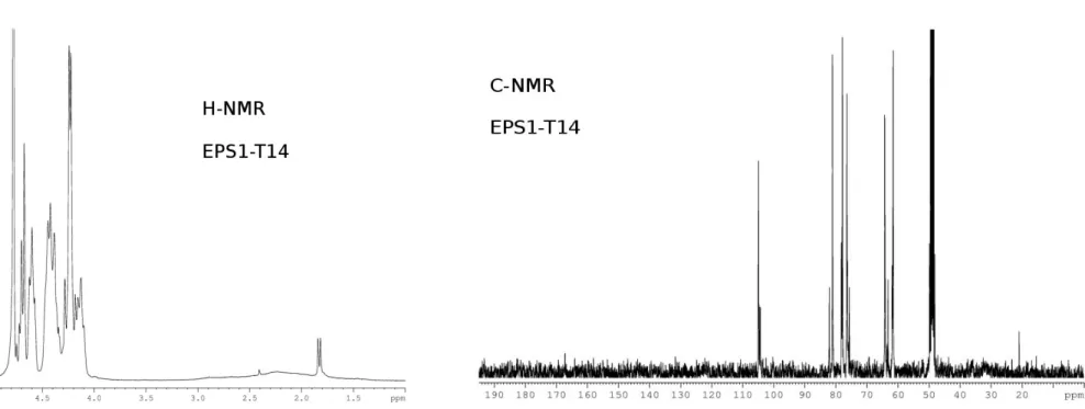 Figure 4.  1 H-NMR and  13 C-NMR spectra of EPSs fractions. 