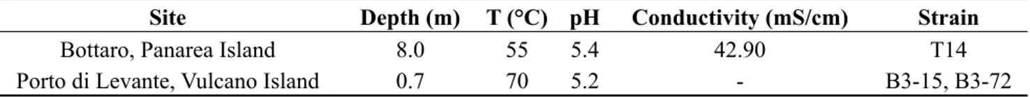 Table 1. Physical and chemical characteristics of thermal fluids emitted from the shallow  hydrothermal vents off Eolian Islands (Italy) and related isolates