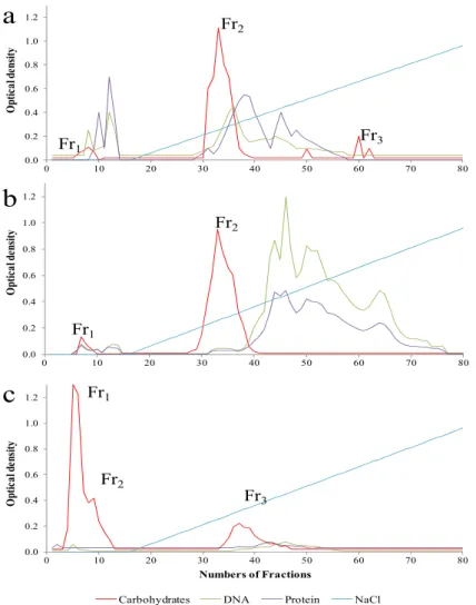 Figure 2. Elution profiles from DEAE-Sepharose CL-6B of EPSs fractions produced by  Bacillus licheniformis strain B3-15 (a); Geobacillus thermodenitrificans strain B3-72 (b);  Bacillus licheniformis strain T14 (c)