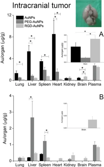 Figure 9. Quantitative biodistribution of intravenously injected NPs 2 h (A) and 8 h (B) after administration in mice grafted with the intracranial tumor