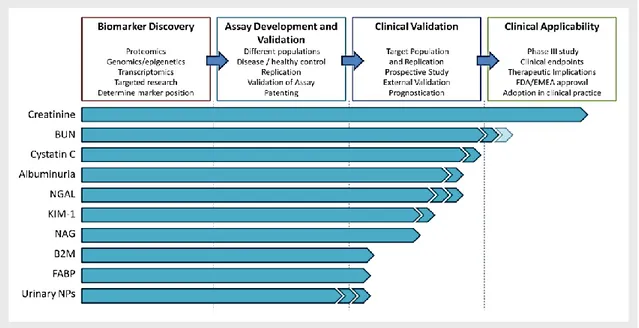 Figure  1.  Renal  biomarker  development.  Approach  to  renal  biomarker  discovery  and  clinical  applicability