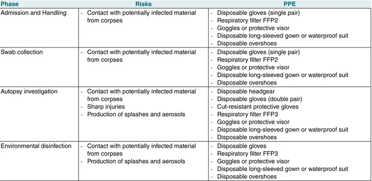 Table I.  Specific risks and recommended PPE for the different operational phases of body management.