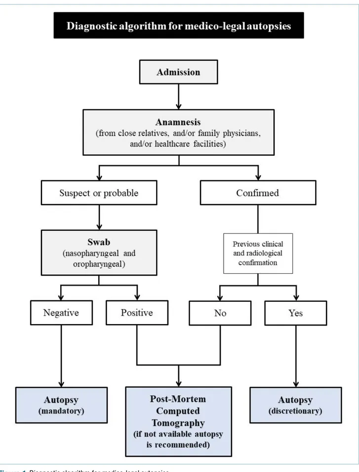 Figure 1.  Diagnostic algorithm for medico-legal autopsies.
