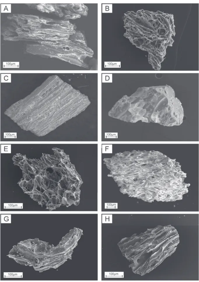 Fig. 6. Secondary electron images of selected pumice grains: A —  uidal pumice shards of VU1; B — spiny shape of a pumice from VU2;  C —  uidal and angular shape of a VU3 fragments; D — blocky glass grains from VU4; E — spiny shape of a VU5 pumice clast;  