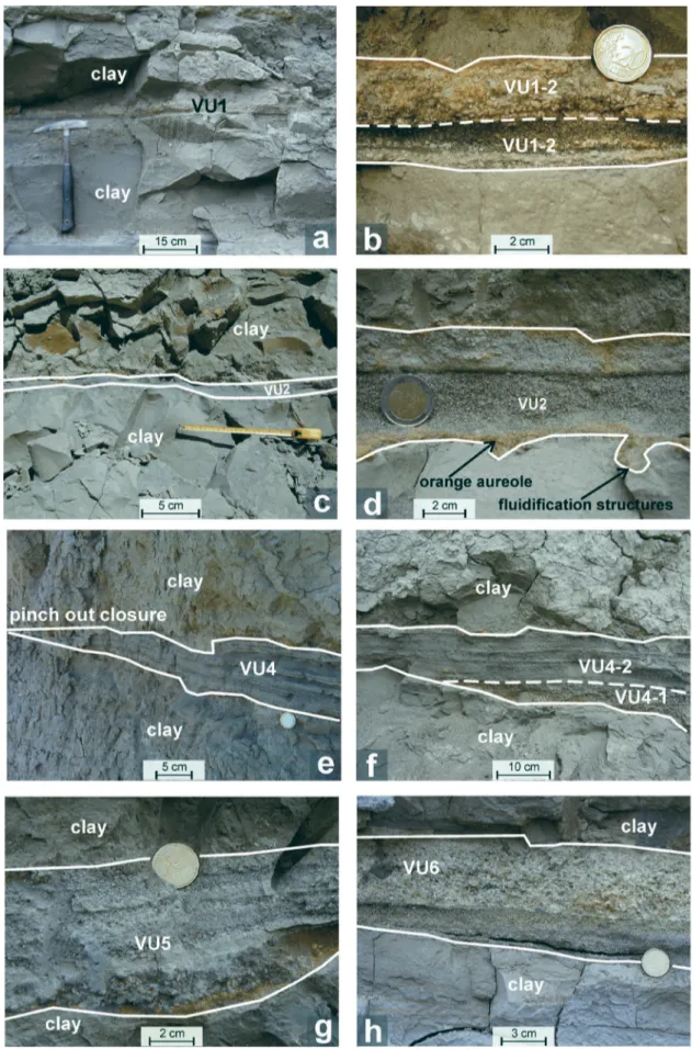 Fig. 3. Outcrop and/or detail photographs of the most representative studied volcaniclastic units: a, b — VU1, section B; c, d — VU2,  section L; e, f — VU4, section B; g — VU5, section E; h — VU6, section I