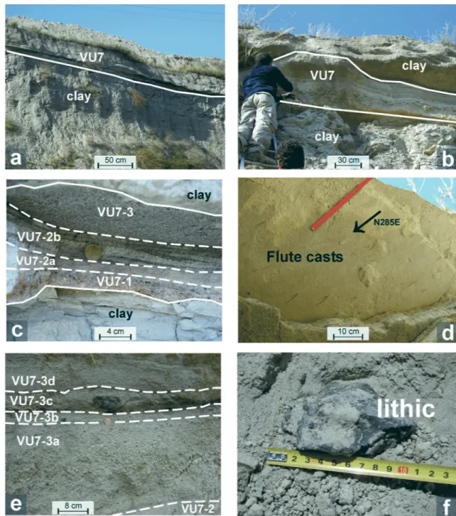 Fig. 4. Representative pictures of structures and detailed features of the VU7 unit: a, b — outcrop views, section G; c — basal portion,  section G; d —  ngerprints of  ute casts with orientation, section N; e — middle part, section G; f — detail with a su