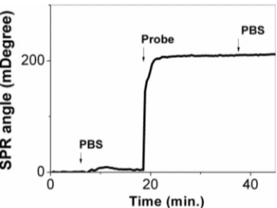 Fig. 2. Angular shift of the SPR minimum peak for WT target and three mismatched G12C, G12S and G12R after hybridization step (arrow indicated as “target”) and washing step (arrow indicated as “WB”).