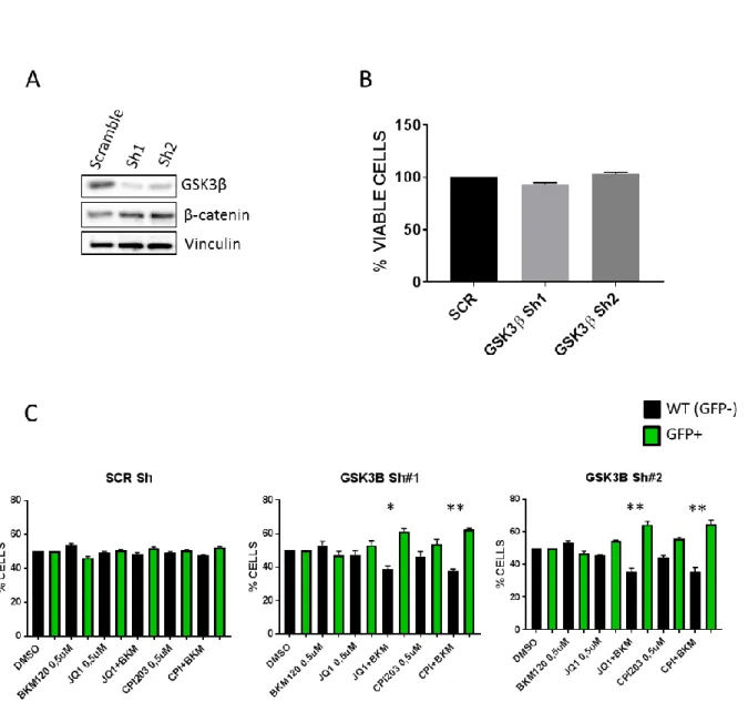Figure S4. Effects of GSK3β depletion in TMD8 cells. Related to figure 4. 