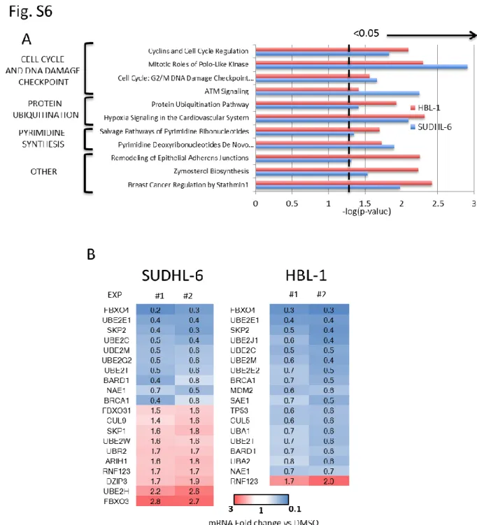 Figure S6. JQ1 deregulates ubiquitination pathway components in DLBCL. Related to figure 6