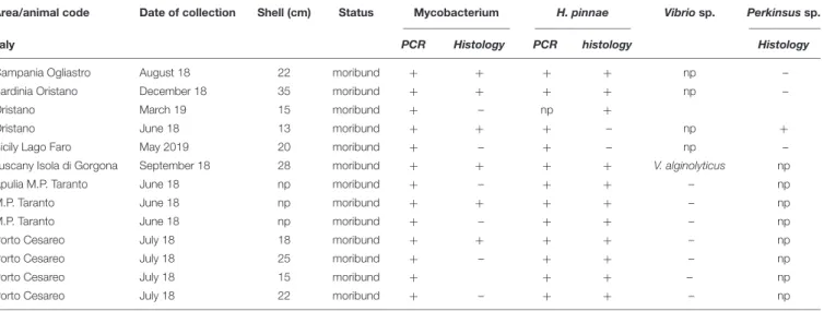 TABLE 2 | Sampling data of the 13 Pinna nobilis specimens from Italy analyzed in the study and results of the detection of Mycobacterium, H
