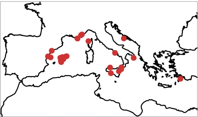 Fig. 4. Recorded sites of Acrodiscus vidovichii (Menegh.) Zanardini along the shores of the Mediterranean 