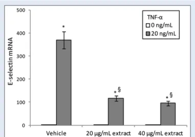 Figure 3:  Cell viability in human umbilical vein endothelial cells  pretreated with Thymelaea microphylla acetone extract (20–40 µg/ml)  for 24 h and then exposed for 2 h to tumor necrosis factor-α (20 ng/ ml)