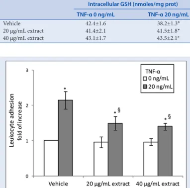 Figure 5:  Leukocyte adhesion to human umbilical vein endothelial cells  pretreated with Thymelaea microphylla acetone extract (20–40 µg/ml)  for 24 h and then exposed to tumor necrosis factor-α (20 ng/ml) for 2  h