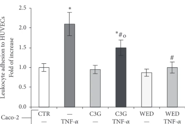 Figure 5: Leukocyte adhesion in HUVECs cocultured for 4 hours with Caco-2 cell monolayers previously pretreated for 24 hours with 20 