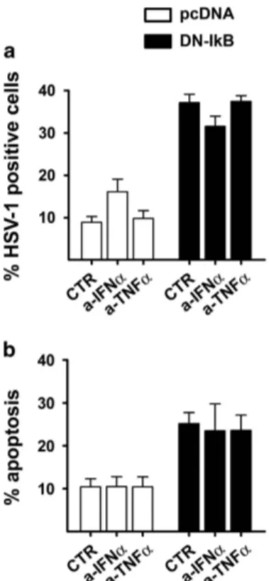 Figure 8 Effects of anti-IFN α and anti-TNFα neutralizing antibodies on the rate of HSV-1 infection and apoptosis