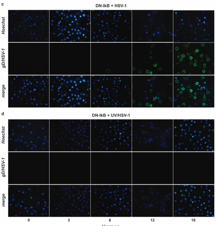 Figure 3 Continued