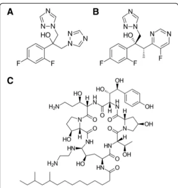 Fig. 2 Structural formula of fluconazole (a), voriconazole (b) and caspofungin (c)
