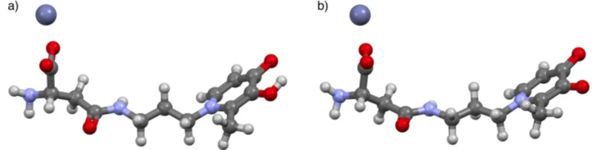 Figure 6. Ball-and-stick views of the PM3-optimized geometry (calculated within a cluster of 100  explicit water molecules) of the Zn 2+ /L2 species: (a) Zn(L2)H +  and (b) Zn(L2) 0(aq) 