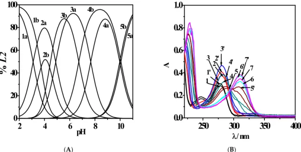 Figure 3. (A) Distribution diagram of L2 (c L  = 5.3·10 −5  mol L −1 ) species at T = 298.15 K and I = 0.506 (a)  and 1.012 (b) mol L −1  in NaCl (aq) 