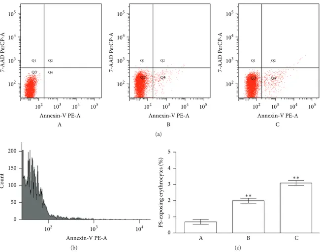 Figure 9: Phosphatidylserine exposure following treatment of RBCs for 2 h with CPZ 50 