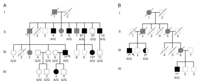 Figure Pedigrees of the SCA42 families identified in this study