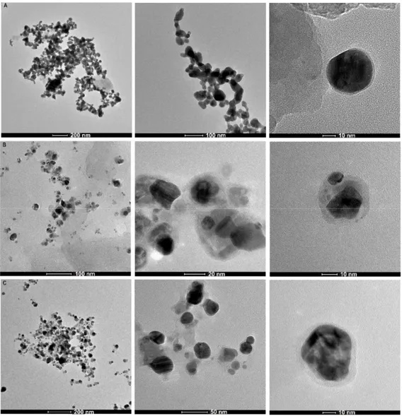 Figure 3. TEM micrographs of γ-PGA-APA-Ag NPs (A), EPS B3-15-Ag NPs (B), EPS T14-Ag NPs (C)  at different magnifications