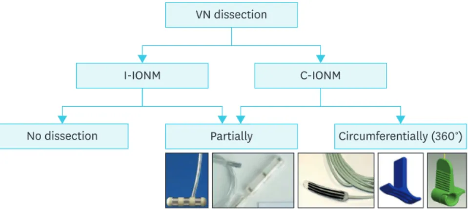 Fig. 9. Vagal nerve dissection for intermitted and continuous monitoring. 