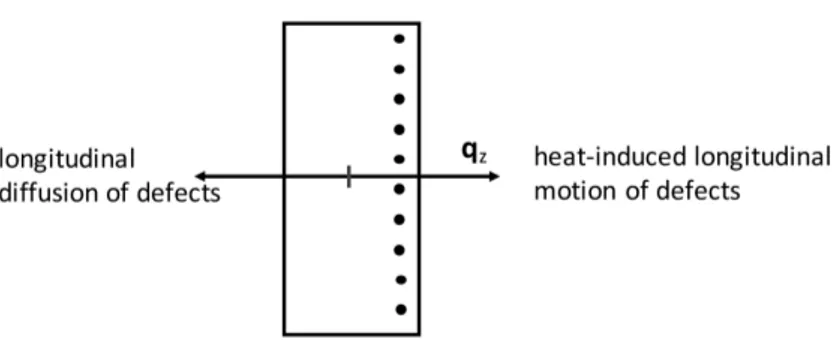 Figure 2. Heat-induced longitudinal motion of defects along the heat flux and longitudinal diffusion of defects against the gradient of defects concentration.