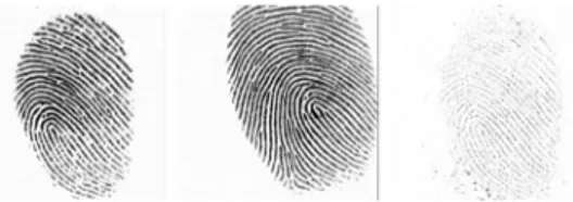 Fig.   11. From  the  left:  reference  ﬁngerprint,  unknown  ﬁngerprint,  difference  reference-warped unknown (ﬁrst case)