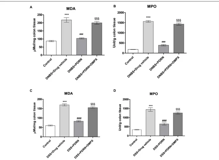 FIGURE 9 | Evaluation of inflammatory markers. The effects of PDRN on malondialdehyde levels and myeloperoxidase activity in DNBS-treated animals are shown in (A) and (B), respectively, while the consequences of PDRN treatment on malondialdehyde levels and