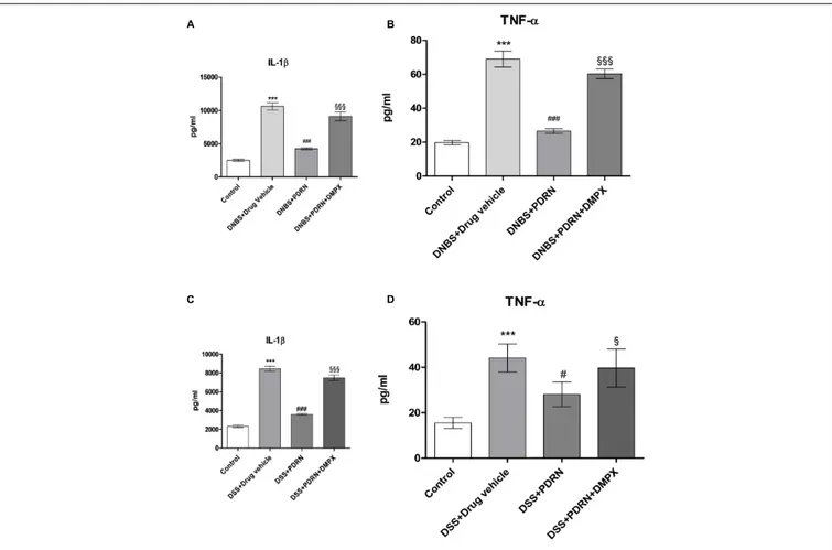 FIGURE 10 | Evaluation of inflammatory cytokines. Serum of DNBS- or DSS-challenged animals was extracted, and Interleukin 1 β (IL-1β) (A,C) and tumor necrosis factor-alpha (TNF- α) (B,D) levels were determined by enzyme linked immunosorbent assay (ELISA)