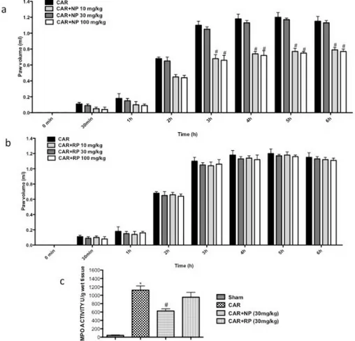 Figure 5. Effect of NP and RP on the time course of carrageenan‐induced paw edema. NP and RP 