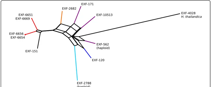 Fig. 4 Maximum likelihood phylogenies based on the MCM7 and BTB genes. a The MCM7 gene