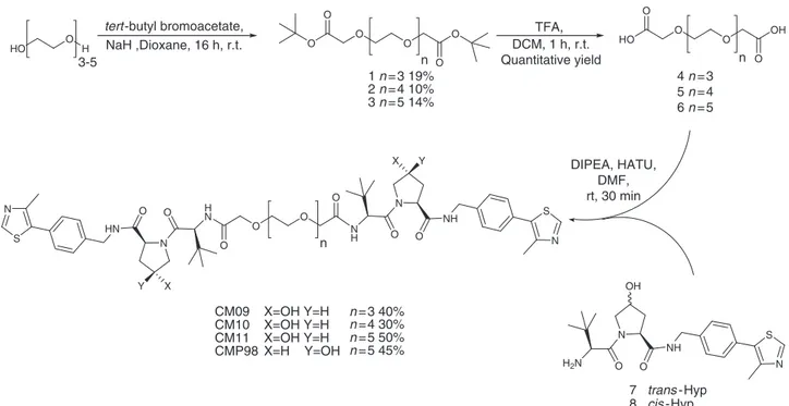 Fig. 2 Synthesis of symmetric homo-PROTAC compounds derivatized from the terminal acetyl group