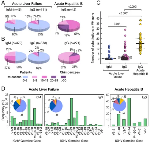 Fig. 6. Characteristics of HBcAg-specific antibodies isolated from liver tissues of four patients with  HBV-associated ALF and two chimpanzees with classic self-limited acute hepatitis B