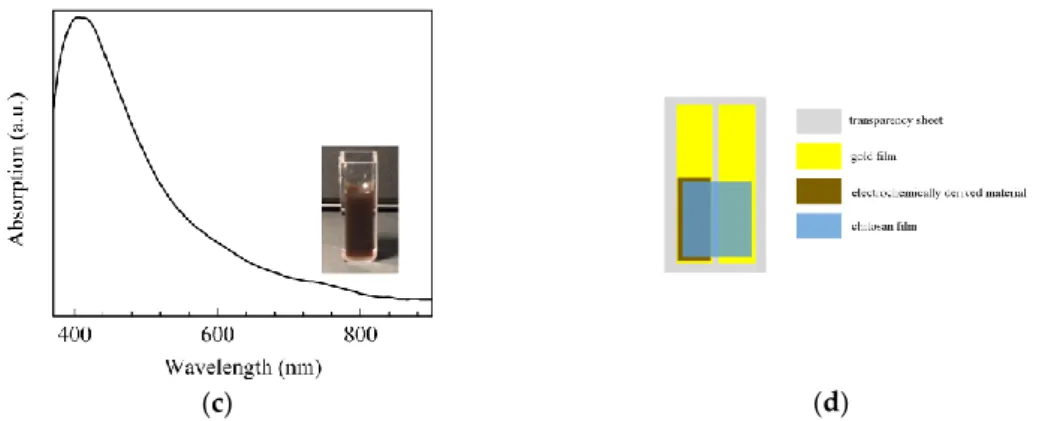 Figure 1. Absorption spectrum of the chitosan aqueous solution (a); photo and absorption spectrum 