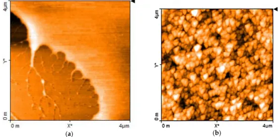 Figure 2. Atomic Force Microscopy (AFM) image close to the border of a thin film of chitosan-copper 