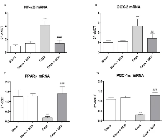 Figure 6. The graphs represent qPCR results of NF-ĸB (A), COX-2 (B), PPARγ (C), and PGC-1α (D)  mRNA expression from joints